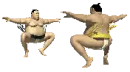I love Japanese sumo wrestlers