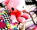 gloomy bear