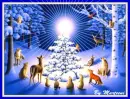 Animals Celebrate Christmas Too!