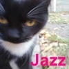 Jazz