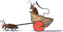 buggy slave