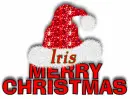 Merry Christmas Santa Hat - Iris