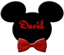MICKEY CHRISTMAS HEAD WITH DAVID