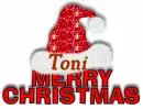 Merry Christmas Santa Hat - Toni