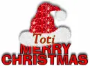 Merry Christmas Santa Hat - Toti