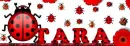 tara ladybugs