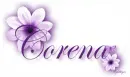 Purple Flowers - Corena