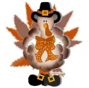 Happy Turkey Day