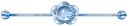 blue moon divider