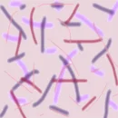 Virus