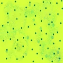 dunt dots green 1