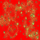 dunt dots red