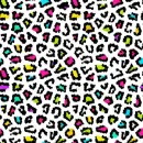 Cheeta