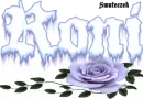 ice --- Roni