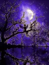 night fairy on a branch