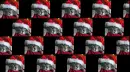 christmas cat 