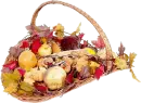 Harvest basket