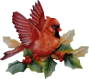BIRDS