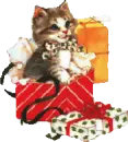 CATS