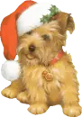 CHRISTMAS PUP