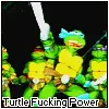 ninja turtles