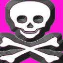 pretty skull<3