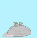 little rocks