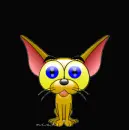 cute chihuahua