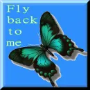 fly back to me