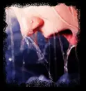 sorrow