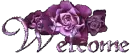 purple welcome