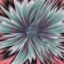Flower?