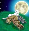 Wolf's rain