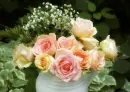 Pink Roses