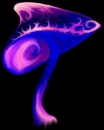 Shroom