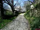 spring in Bulgaria 