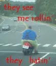 Fat