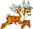 REINDEER