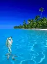 quiero estar contigo en una playa azul... :)