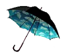 paragÃ¼ita