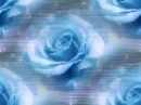 otras azules