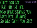 you belong with me lyrics