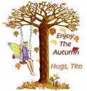 enjoy the autumn