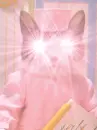 pink nurse cat