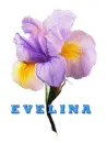 Name Evelina.