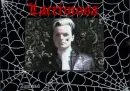 Tilo 