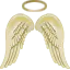 ANGEL WINGS