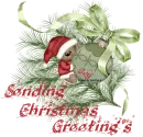 SENDING CHRISTMAS GREETING'S/BEAR