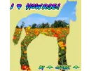 I â™¥ Howrse!