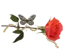 Rose.